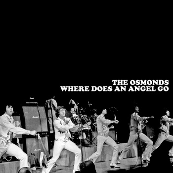 The Osmonds - Where Does An Angel Go