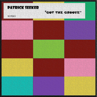 Patrick Seeker - Got the Groove