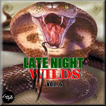 Various Artists - Late Night Wilds Vol. 6