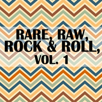 Various Artists - Rare, Raw, Rock & Roll, Vol. 1