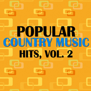 Various Artists - Popular Country Music Hits, Vol. 2
