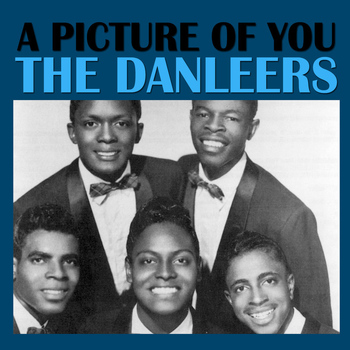 The Danleers - A Picture Of You