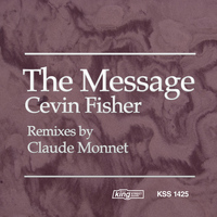 Cevin Fisher - The Message