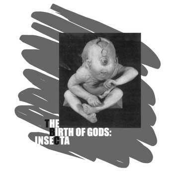 TBC - The Birth of Gods: Insecta