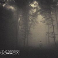radrigessss - Sorrow