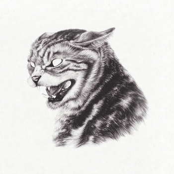Great Dane - Beta Cat