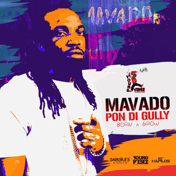 Mavado - Pon Di Gully (Born & Grow) - Single