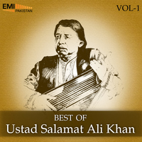 Ustad Salamat Ali Khan - Best of Ustad Salamat Ali Khan, Vol. 1