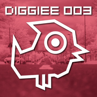 Pauke Schaumburg - Hell Sucks EP - DIGGIEE 003