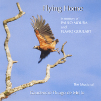 Gaudencio Thiago de Mello - Flying Home