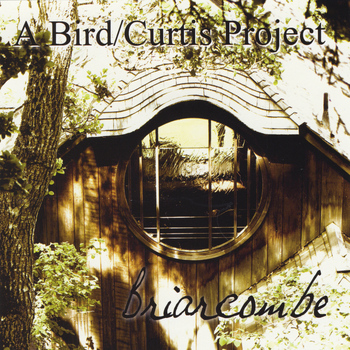 Henry Adam Curtis - Briarcombe (A Bird / Curtis Project)