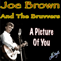 Joe Brown, The Bruvvers - A Picture of You