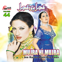 Afshan - Jee Karda Main Dig Paan (Mujra Hi Mujra), Vol. 44