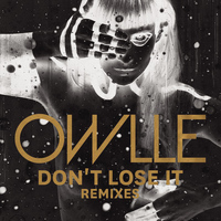 Owlle - Don't Lose It (Remix) [EP]