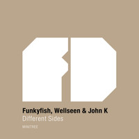 Funkyfish, Wellseen & John K - Different Sides