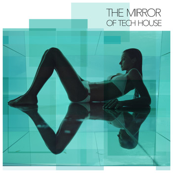 Various Artists - The Mirror of Tech House