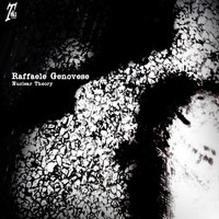 Raffaele Genovese - Nuclear Theory