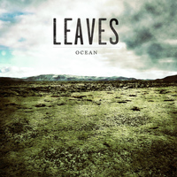 Leaves - Ocean