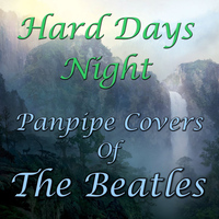 Tony Skeggs - Hard Days Night- Pan Pipe Covers Of The Beatles