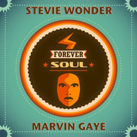 Stevie Wonder & Marvin Gaye - Forever Soul (A Collection of Timeless Soul Artists)
