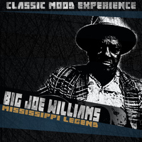 Big Joe Williams - Mississippi Legend