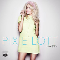 Pixie Lott - Nasty