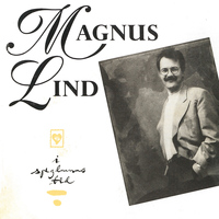 Magnus Lind - I speglarnas tid