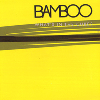 Bamboo - What’s in the Cube?