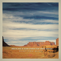 Bricklake & Sean Darin feat. Herr Spiegel - Don't You Mind