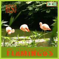 Heso - Flamingos