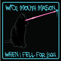 Wide Mouth Mason - When I Fell for You