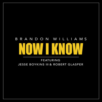 Jesse Boykins III - Now I Know (feat. Jesse Boykins III & Robert Glasper)