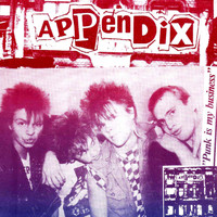 Appendix - Appendix EP