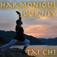 Tai Chi - Harmonious Journey