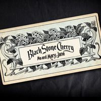 Black Stone Cherry - Me and Mary Jane