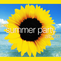Wild Stylerz - Summer Party Album - Pop Playlist