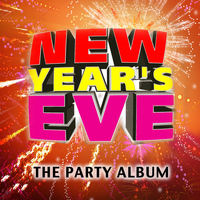 Wild Stylerz - New Year's Eve - The Party Album