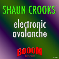 Shaun Crooks - Electronic Avalanche