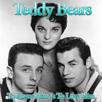 Teddy Bears - To Know Him Is to Love Him