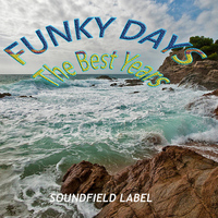 Funky Days - The Best Years