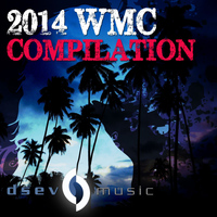 Kingsley Flowz - 2014 WMC Compilation