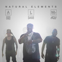 Natural Elements - The Nep
