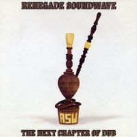 Renegade Soundwave - The Next Chapter Of Dub
