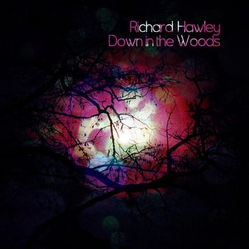Richard Hawley - Down In The Woods