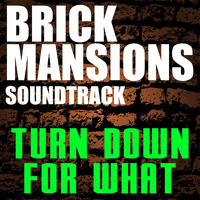 IGX - Brick Mansions Soundtrack (Turn Down for What)