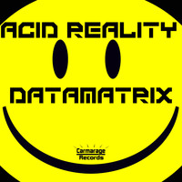 Datamatrix - Acid Reality