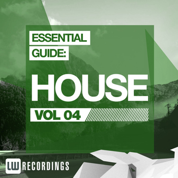 Various Artists - Essential Guide: House Vol. 04
