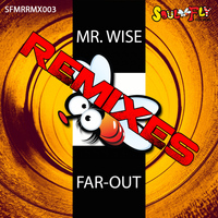 Mr. Wise - Far-Out Remixes
