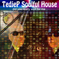Tedjep Soulful House - Did You Really Wait for Me