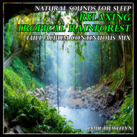 Jamie Llewellyn - Natural Sounds for Sleep: Relaxing Tropical Rainforest